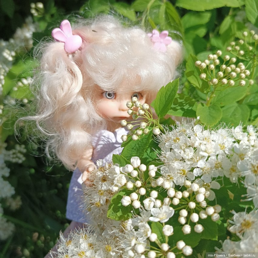 У нас наступило ЛЕТО - прогулка с дюймовочкой Джесси (фото 2)