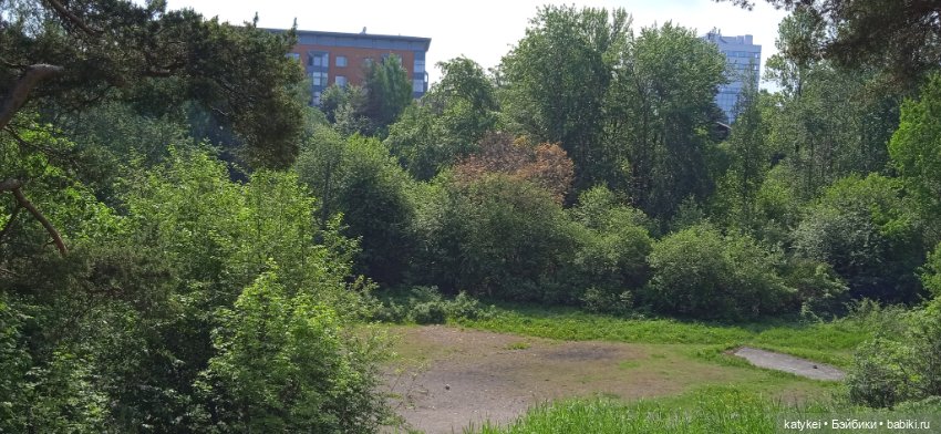 Яблоня на практике — Интересные игрушки и фигурки (разное): редкие