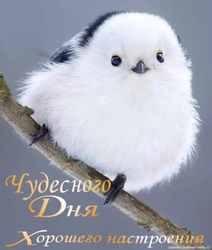 Белое платье и белые цветы🤍🤍