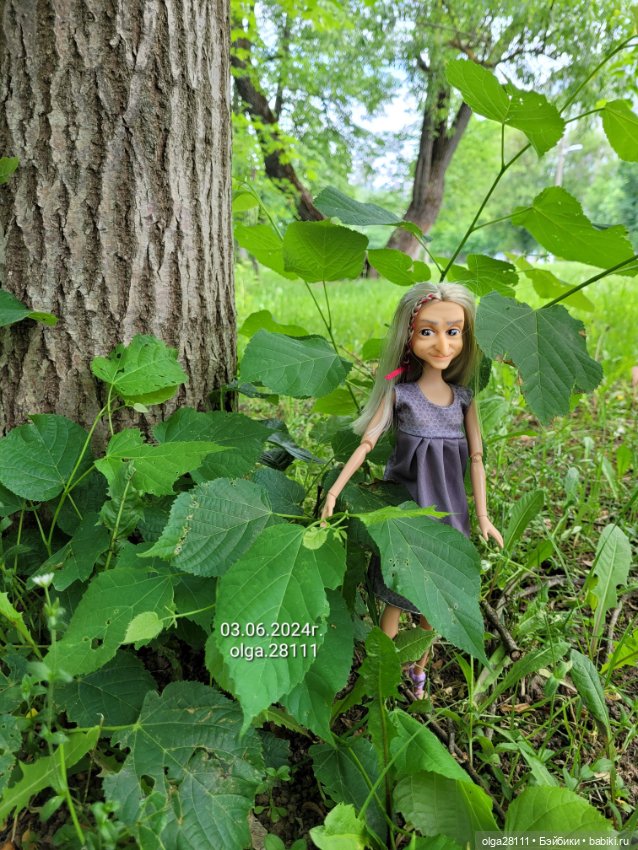 А вот и мы - цветов не надо (фото 4)