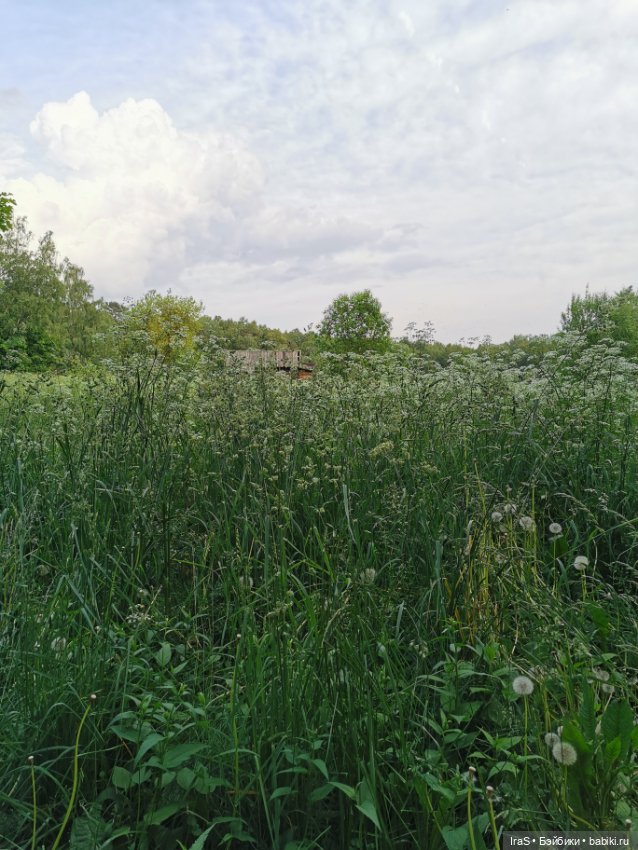 Гибриды шарнирных кукол (не БЖД): подбор тела