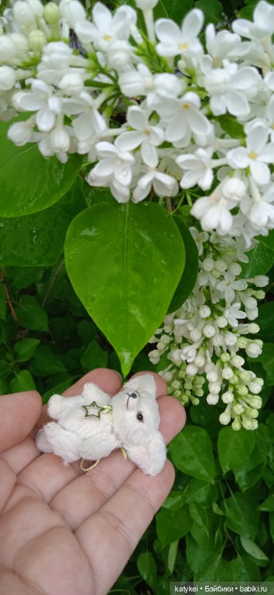 Фенек и сирень — Домашние фото авторских игрушек: Тедди (фото 4)