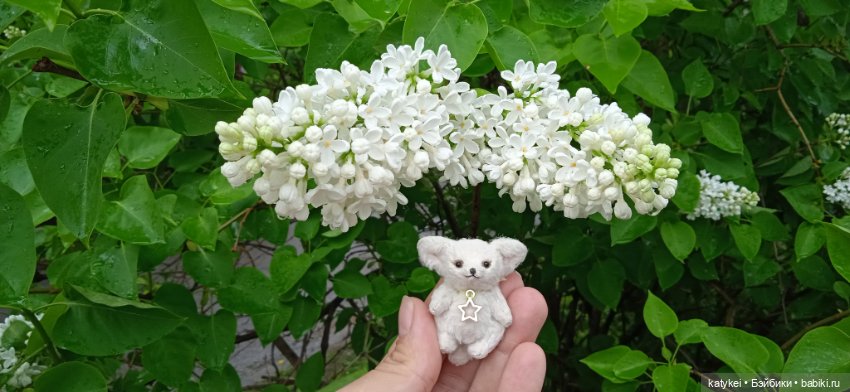 Фенек и сирень — Домашние фото авторских игрушек: Тедди