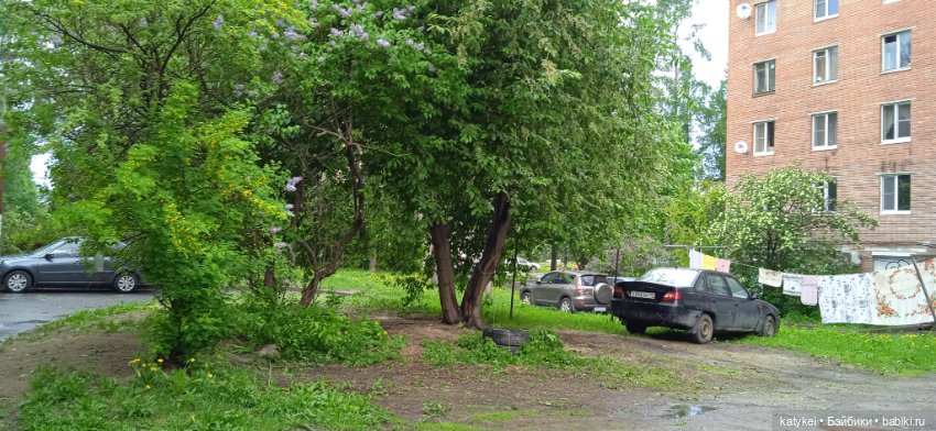 Фенек и сирень — Домашние фото авторских игрушек: Тедди