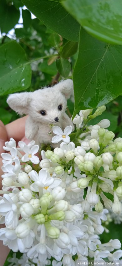 Фенек и сирень — Домашние фото авторских игрушек: Тедди (фото 8)