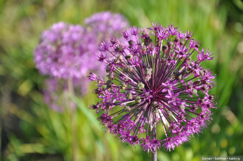 Большое путешествие маленькой девочки. Часть 3. Вертолетка и Жигулевские горы