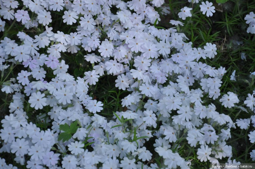 Большое путешествие маленькой девочки. Часть 4. Путевые заметки