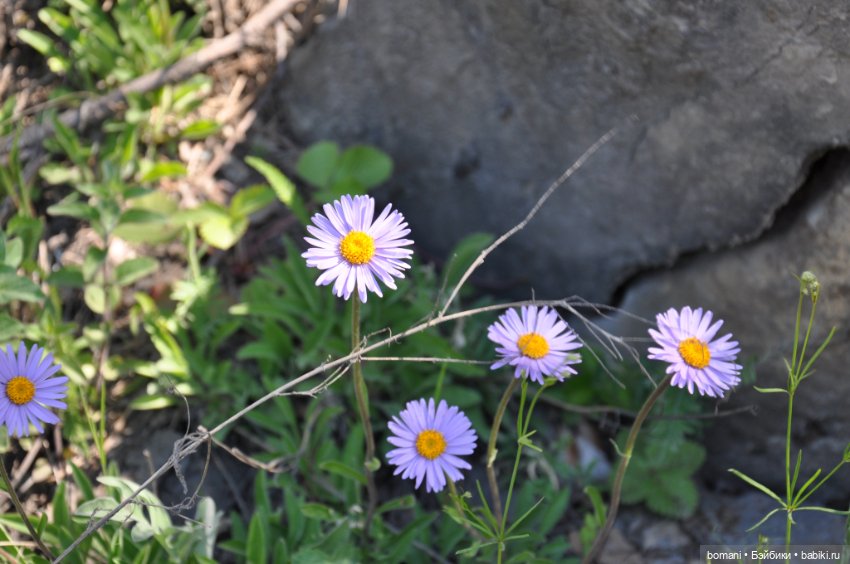 Большое путешествие маленькой девочки. Часть 4. Путевые заметки