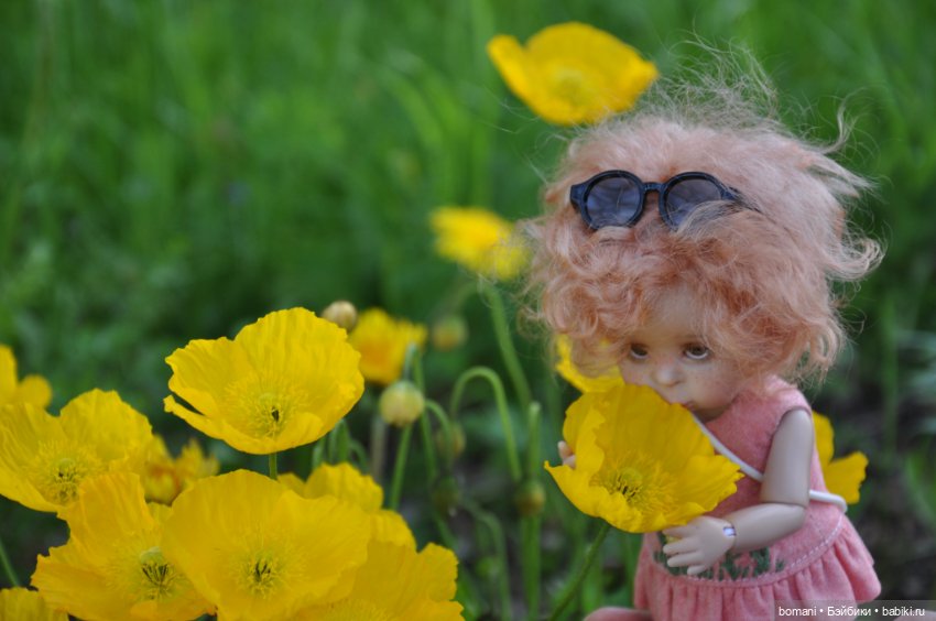 Большое путешествие маленькой девочки. Часть 4. Путевые заметки