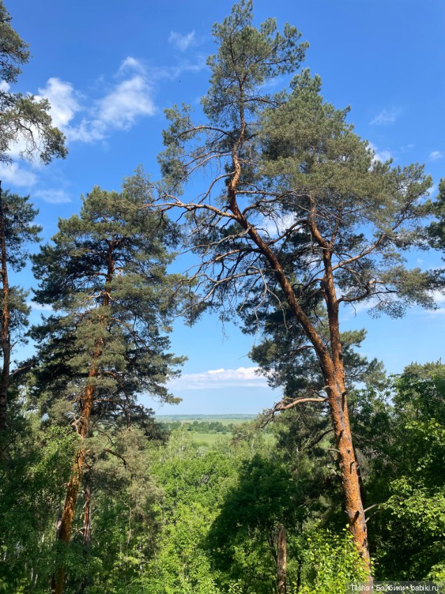 Деревенские зарисовки с Holala