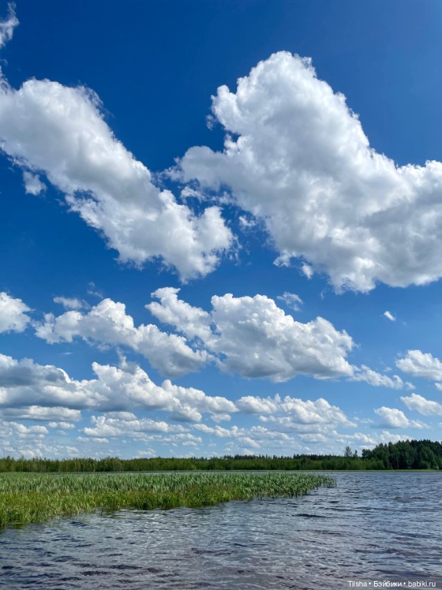 Деревенские зарисовки с Holala (фото 2)