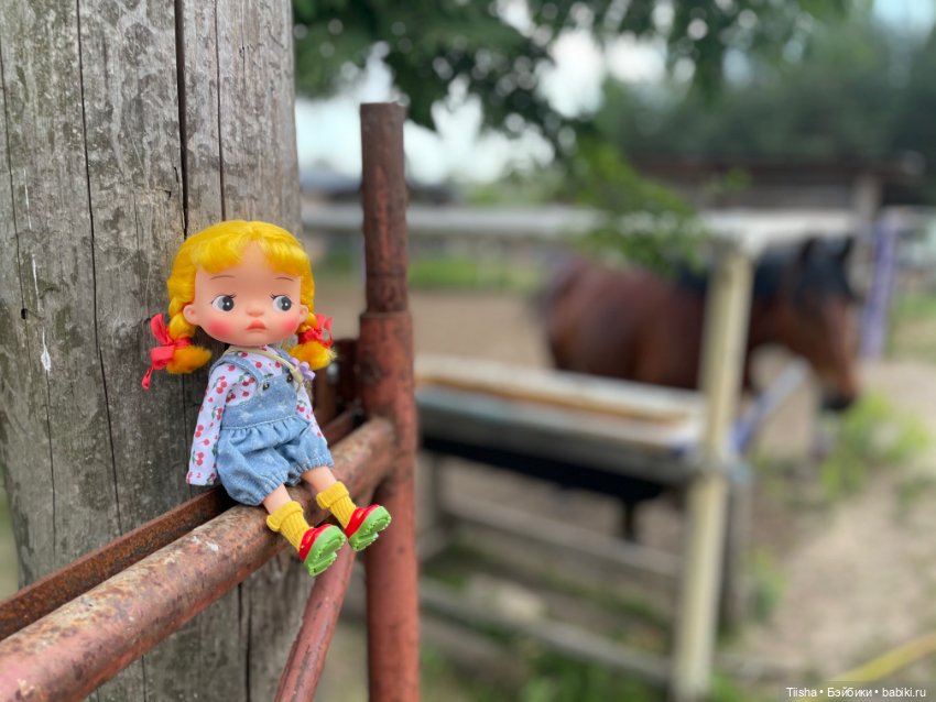 Деревенские зарисовки с Holala