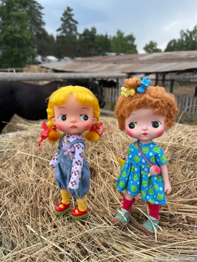 Деревенские зарисовки с Holala