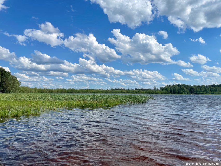 Деревенские зарисовки с Holala