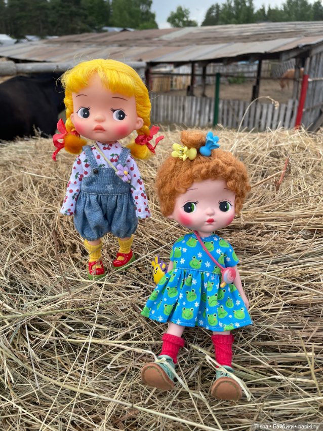 Деревенские зарисовки с Holala (фото 4)