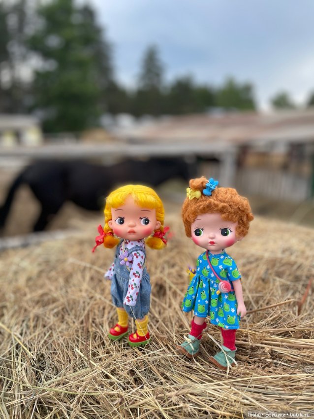 Деревенские зарисовки с Holala