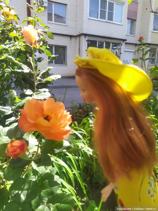 Солнечное лето Дианы — Игровые куклы разных производителей (Разное): редкие бренды