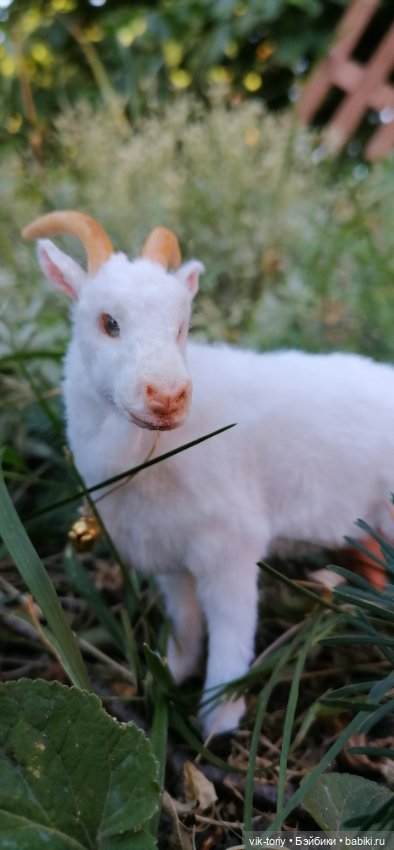 Игрушки в смешанной технике (мех и глина): Арт (фото 8)