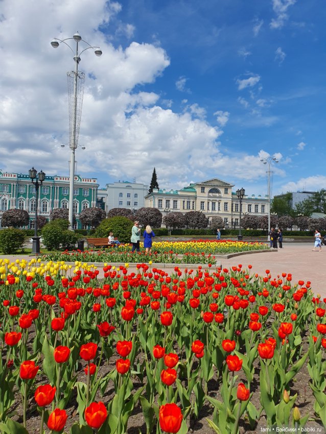 Энн-Майя или Цверг идет по городу