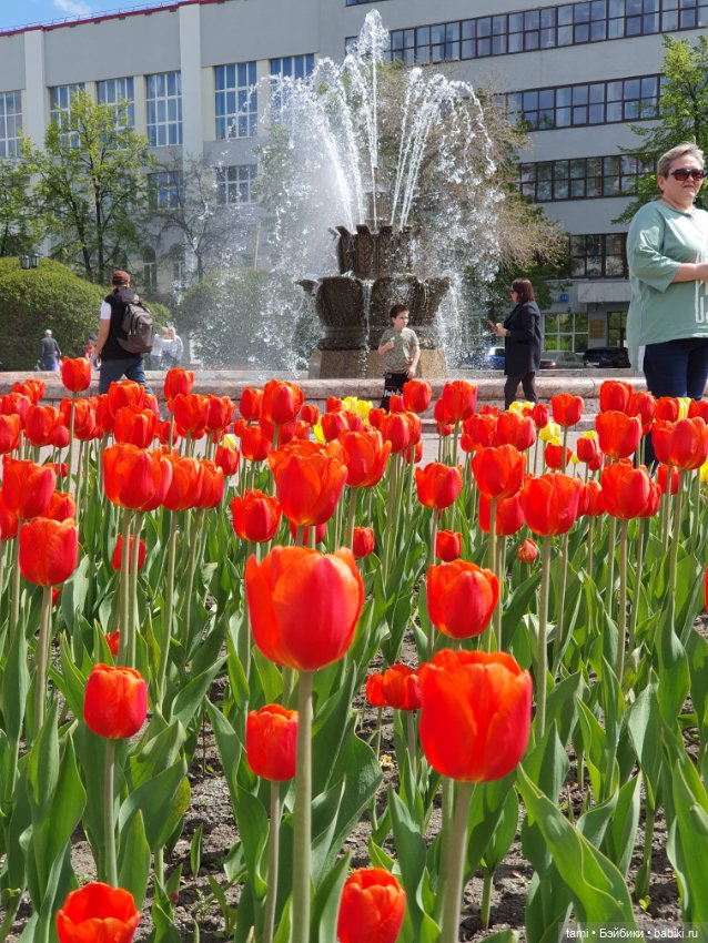 Энн-Майя или Цверг идет по городу