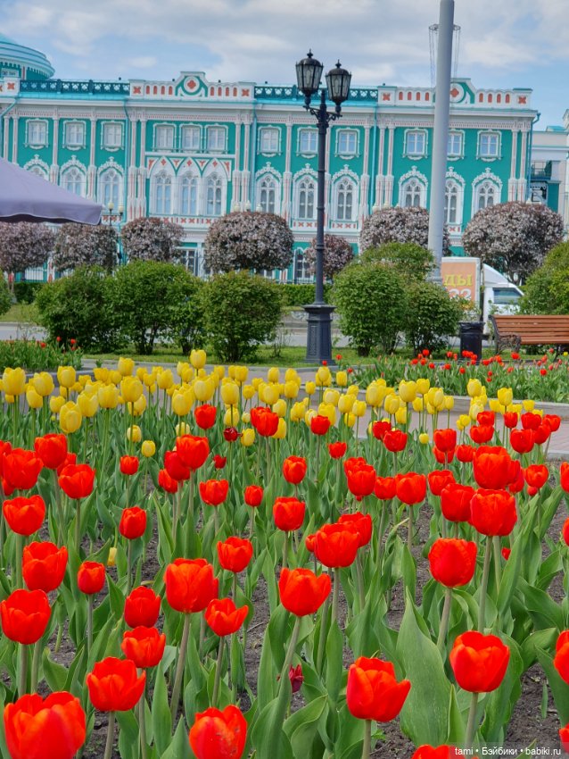 Энн-Майя или Цверг идет по городу