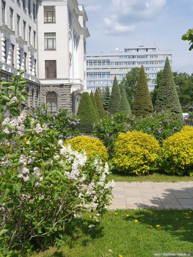 Энн-Майя или Цверг идет по городу