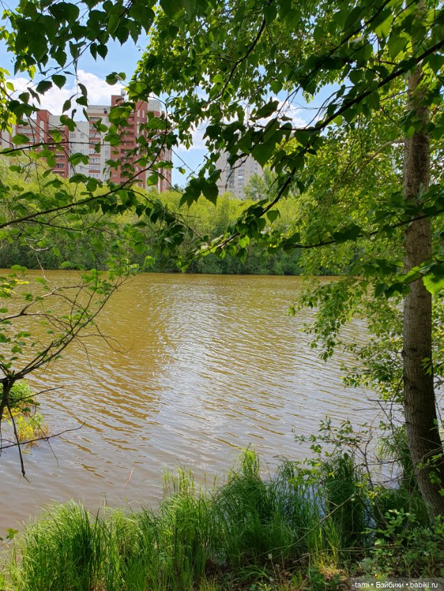 Энн-Майя или Цверг идет по городу (фото 8)