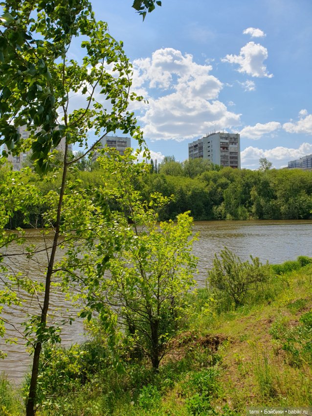 Энн-Майя или Цверг идет по городу (фото 2)