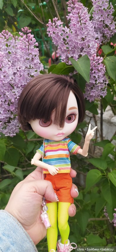 Физзи. Лягушечка - Blythe TBL (фото 4)
