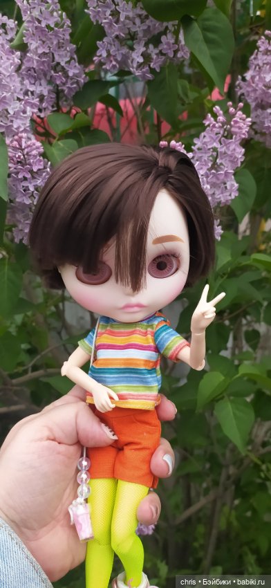 Физзи. Лягушечка - Blythe TBL (фото 3)
