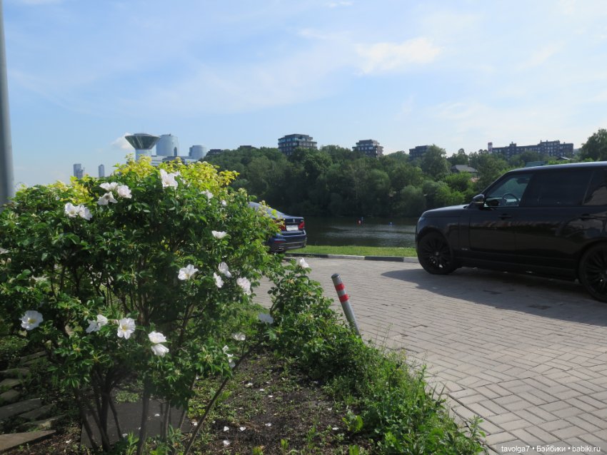 6.6.2024. у реки — Коллекции игровых кукол (Playline): фото полок (фото 3)