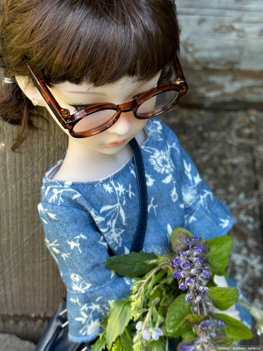 Сейдж (часть 2) 🌾 — Куклы Ruby Red (Руби Ред) Fashion Friends: Siblies