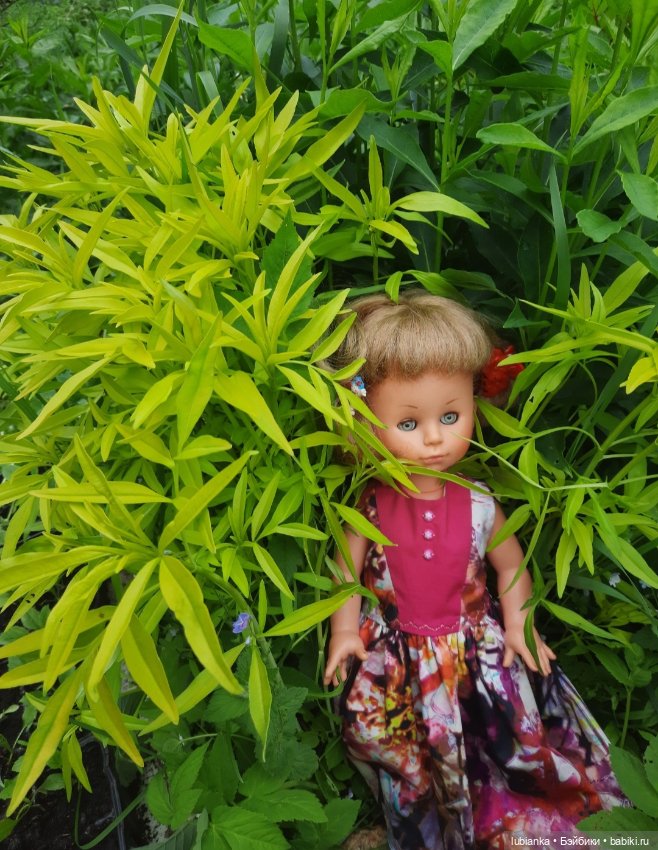 Банально:прогулялись в новом платье💃🍀🌸🌼 (фото 4)