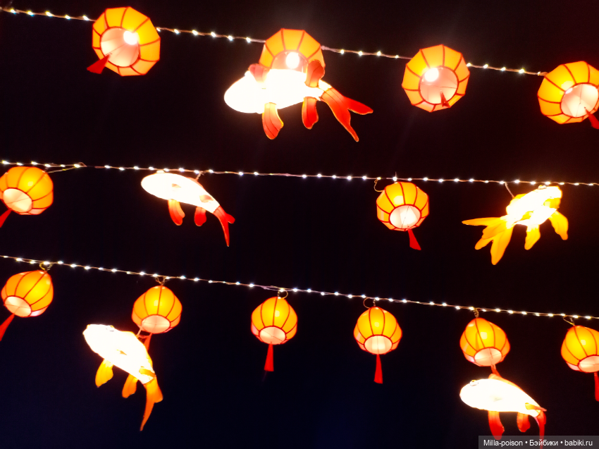 Городские парки вечернего Цанчжоу (фото 6)