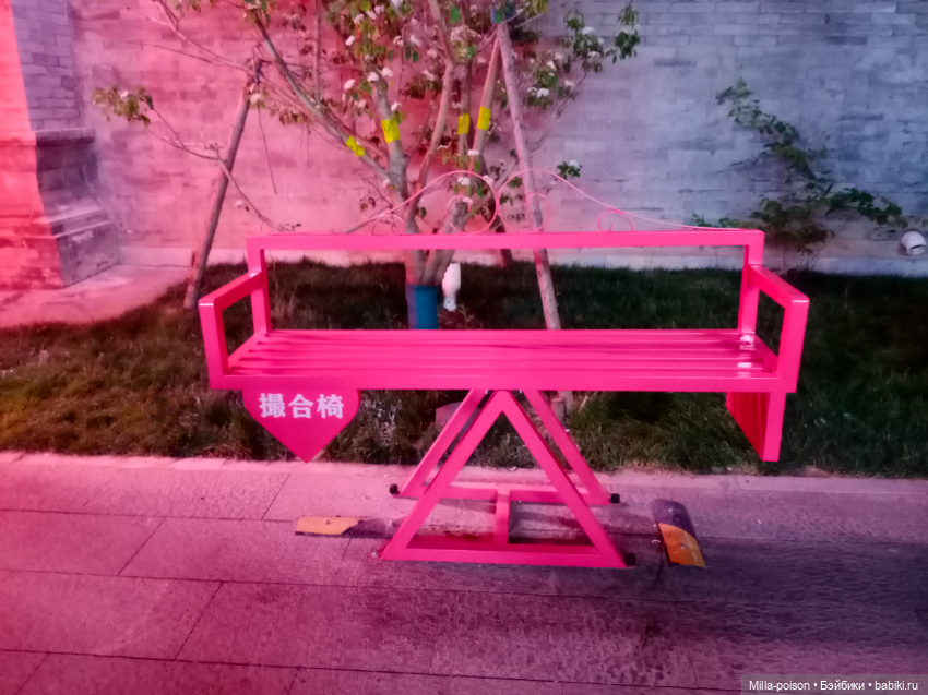 Городские парки вечернего Цанчжоу (фото 7)