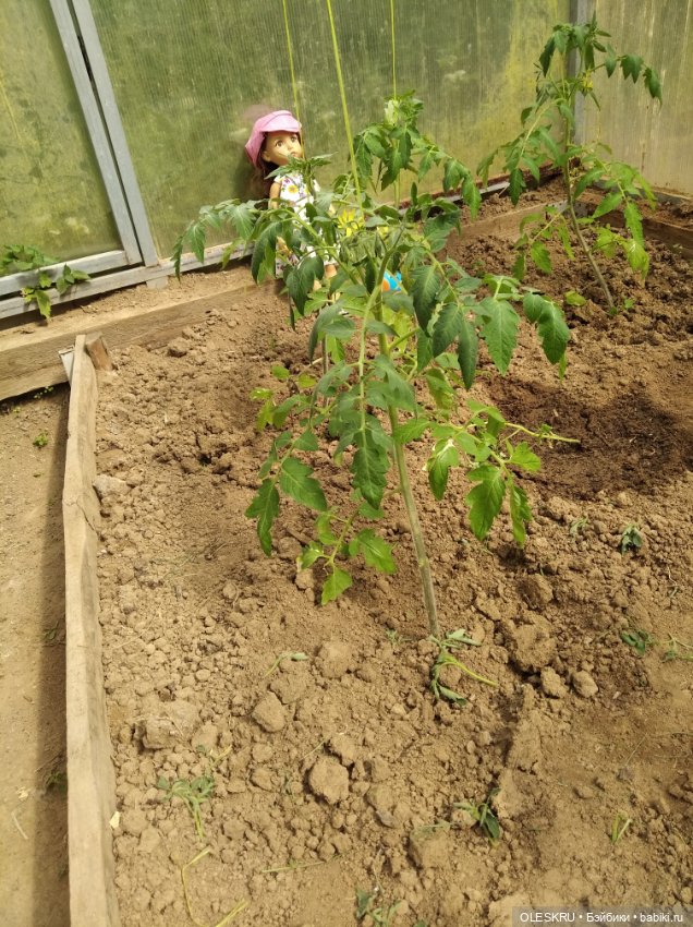 Светочка на даче часть 2 — Интересное и необычное: фотоподборки (фото 2)