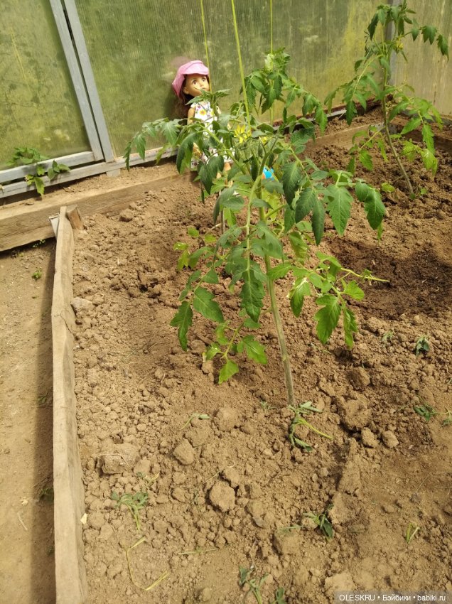 Продолжение — Интересное и необычное: фотоподборки (фото 2)