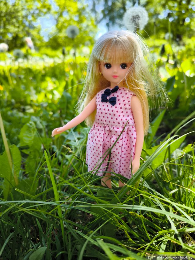 Ликка 5, Ликка 6, а дальше (фото 4)