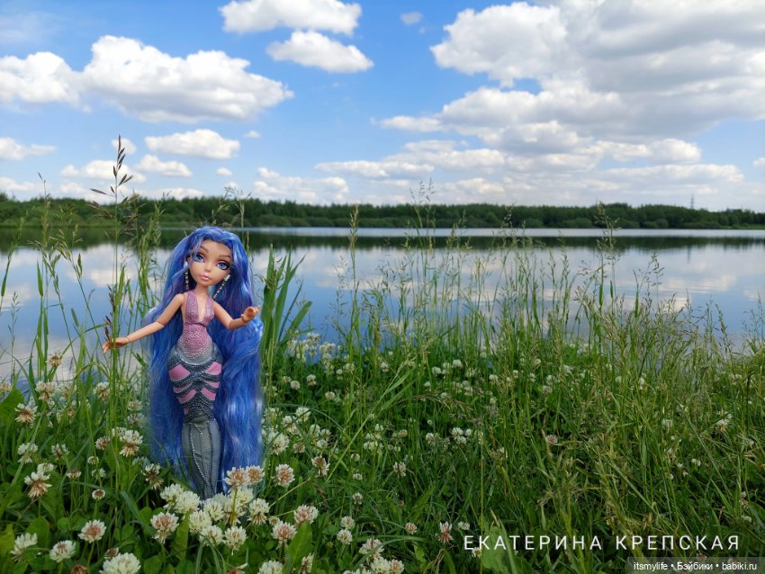 Русалочка — Разные шарнирные куклы (не БЖД): редкие