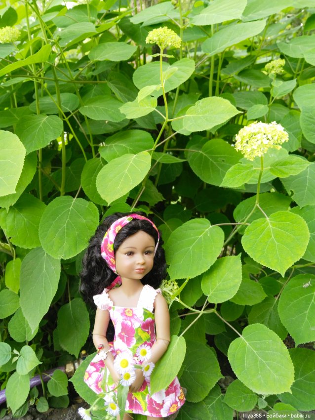 Девочка-лето 🌞 — Куклы Ruby Red (Руби Ред) Fashion Friends: Siblies (фото 5)