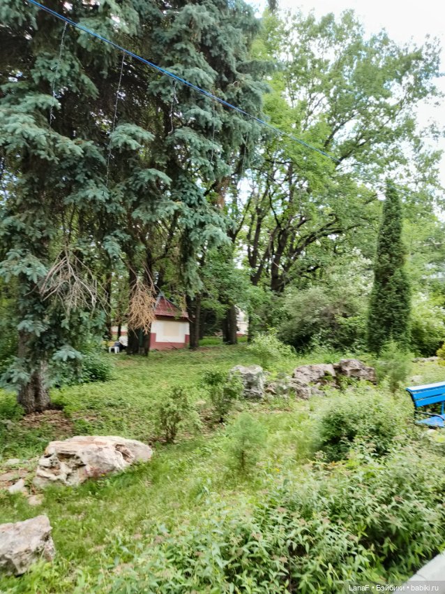 Милочка на пляже. Первый выезд. (виниловые куклыGabrielle Muller)