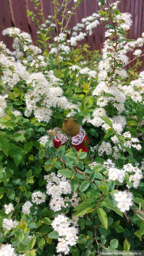 Приключения Жорджика на даче (фото 8)