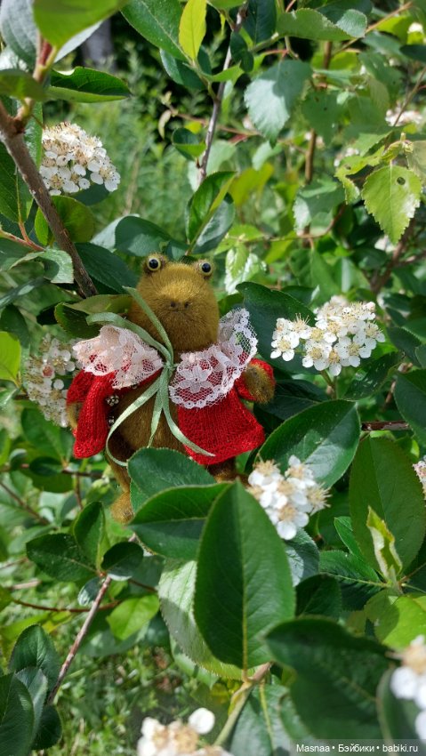 Приключения Жорджика на даче (фото 5)