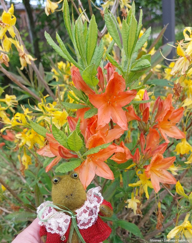 Приключения Жорджика на даче