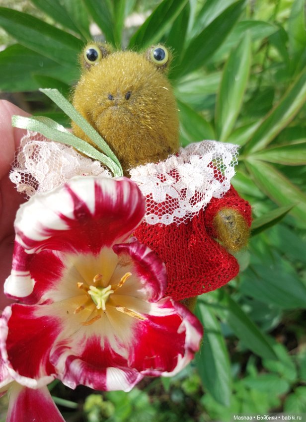 Приключения Жорджика на даче (фото 10)