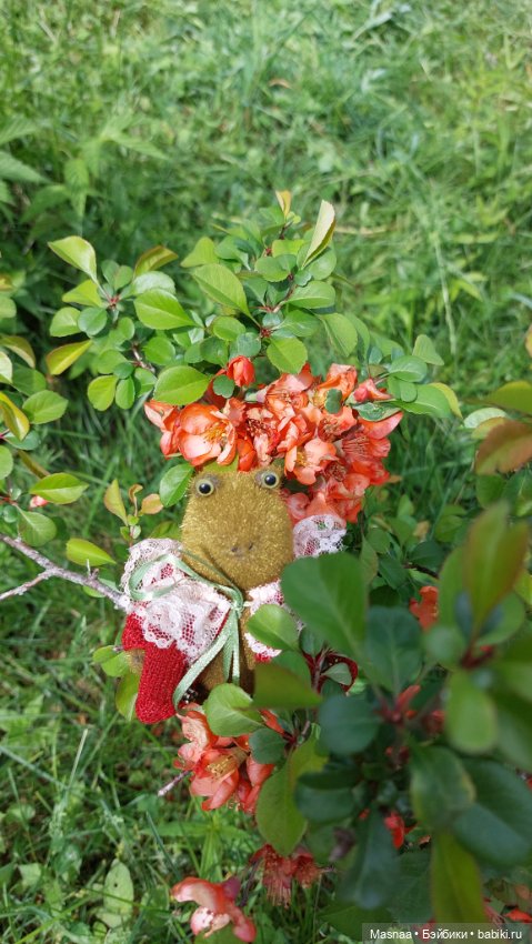 Приключения Жорджика на даче (фото 3)