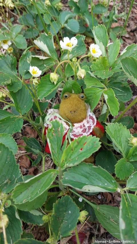 Приключения Жорджика на даче (фото 4)