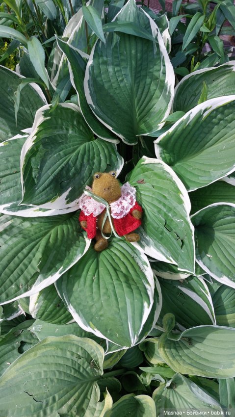 Приключения Жорджика на даче (фото 9)