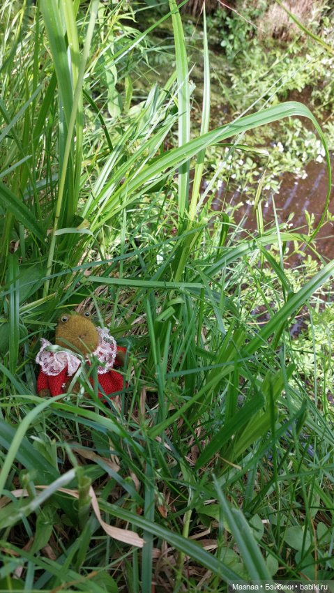 Приключения Жорджика на даче (фото 6)