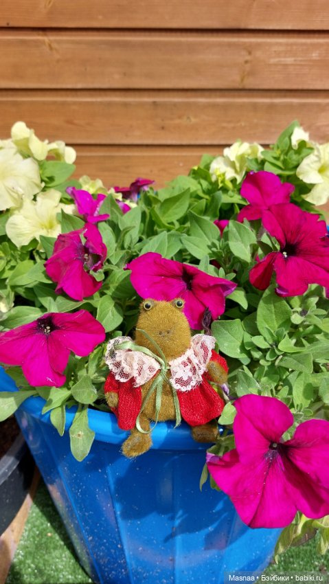 Приключения Жорджика на даче (фото 7)